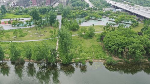 潁河橋下福利特輯 | 一河一園美景如畫，三重狂歡豪禮抱回家